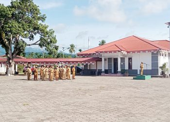 Hati-hati, Palsukan Ijazah akan Langsung Diproses Hukum