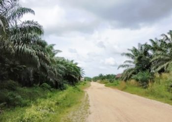 LMA Sumuri Siap Fasilitasi Pengurusan 1.001 Sertifikat Baru Petani Eks Plasma Varita Majutama