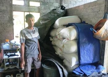 Bila Cuaca Buruk Suryanto Beralih Profesi Sebagai Petani Untuk Mengolah Sawah