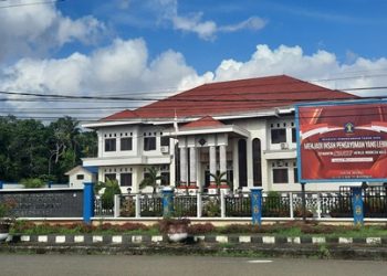 Imigrasi Tidak Menampik Dugaan Warga Negara Asing Terlibat Dalam Penambangan Emas Ilegal