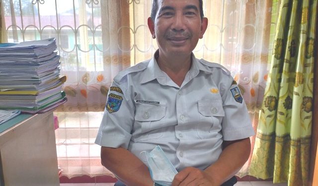 Pemotongan Betina Produktif Meningkat, Manokwari Dalam Ancaman Krisis Daging Sapi