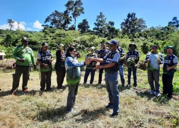 Hari Bhakti Rimbawan ke-39, CDK Mansel Tanam 50 Anakan Tabebuya