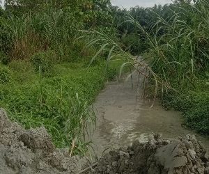 Sejumlah Petani di Sidey Keluhkan Limbah PT Medco Diduga Cemari dan Rusak Ladang Mereka