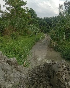 Sejumlah Petani di Sidey Keluhkan Limbah PT Medco Diduga Cemari dan Rusak Ladang Mereka