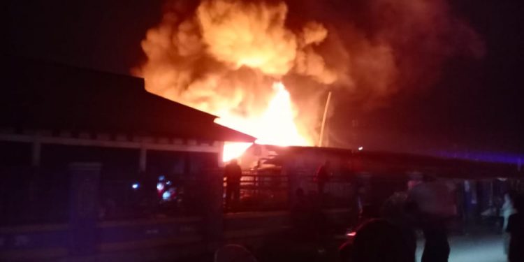 Si Jago Merah ‘Ngamuk’ Lagi di Pasar Wosi