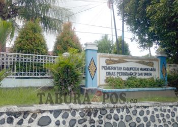 Disperindagkop Manokwari Belum Pernah Keluarkan Surat Rekomendasi Pendirian Koperasi di Bidang Pertambangan