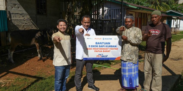 Lebih Dekat dengan Warga Fakfak, PKT Salurkan Bantuan 6 Sapi Kurban