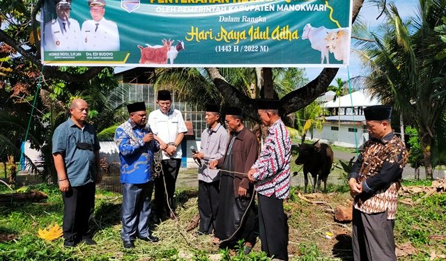 Kurban 100 Ekor Sapi, Bupati : Pemerintah Ingin Mendapatkan Ridho dan Diberkati Allah SWT