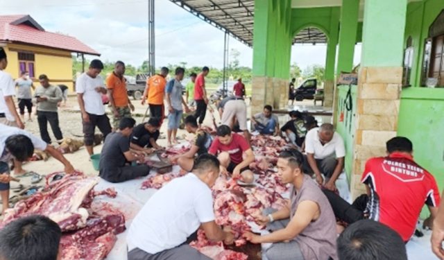 Keluarga Besar Polres Teluk Bintuni Qurban 10 Ekor Sapi