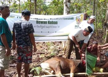 Baznas Papua Barat Salurkan Ratusan Kantong Daging Kurban di Kampung Moyang dan Manted 