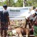 Baznas Papua Barat Salurkan Ratusan Kantong Daging Kurban di Kampung Moyang dan Manted