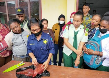 DPKP Manokwari Bekali Puluhan Relawan Periksa Kesehatan Daging Kurban