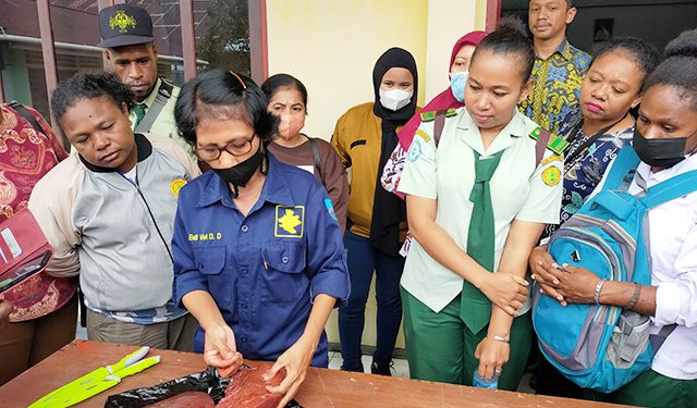 DPKP Manokwari Bekali Puluhan Relawan Periksa Kesehatan Daging Kurban