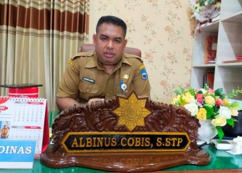 PTSP Manokwari Bertekad Menjadi Pilot Project Pelayanan Publik