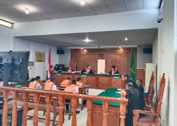 Wow, Ada Ribuan Penambang dan 200 Lebih Excavator di Lokasi Tambang Emas Tanpa Izin