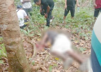 YN Ditemukan Warga Meninggal di Kebun