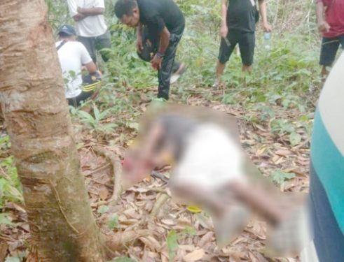 YN Ditemukan Warga Meninggal di Kebun