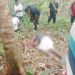 YN Ditemukan Warga Meninggal di Kebun