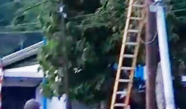 Pemeliharaan Jaringan Listrik di Bintuni Perlu Perhatian Lebih, Beberapa Tiang Perlu Diganti
