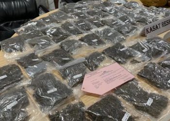 Sebagian Besar Ganja Masuk dari Papua Nugini