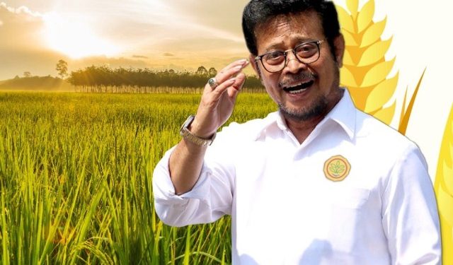 Hari Ini, Menteri Pertanian Kunjungan ke Manokwari