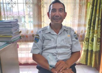 Dinas Pertanian Lost Kontrol Pemotongan Sapi di Manokwari