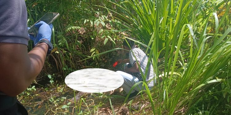 Penemuan Mayat Perempuan di Pantai Bobo Gegerkan Warga Mansel