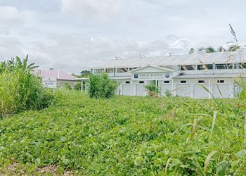 Kawey: Bulan Maret Pasar Kenangan dan Pasar Rakyat Mansel Difungsikan