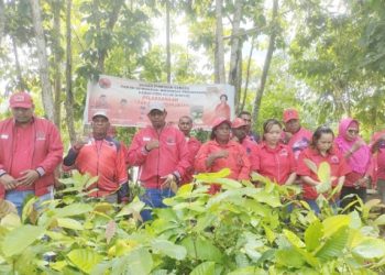 DPC PDI Perjuangan Bintuni Gelar Aksi Rawat Lingkungan Momen HUT Emas 