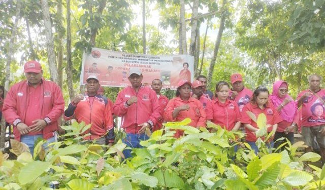 DPC PDI Perjuangan Bintuni Gelar Aksi Rawat Lingkungan Momen HUT Emas 