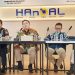 Mulai 2024, NIK KTP akan Terintegrasi Menjadi NPWP