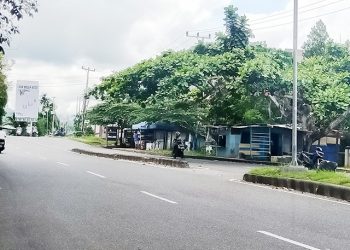 Kelurahan Sanggeng Sudah Menertibkan Pedagang di Depan Kantor Kejati Papua Barat
