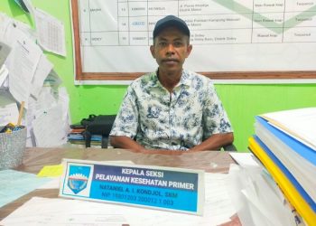 Empat Puskesmas di Manokwari Sudah Melayani Rawat Inap