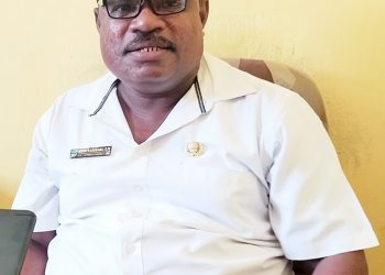 Puluhan Ekor Babi Mati Mendadak, Virus ASF Masih Membayangi Manokwari
