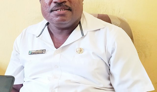 Puluhan Ekor Babi Mati Mendadak, Virus ASF Masih Membayangi Manokwari