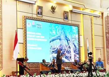KLHK Sosialisasi FOLU Net Sink di Papua Barat