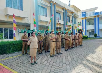 Mulai 1 Maret, Pemkab Manokwari Terapkan Absensi Berbasis Android