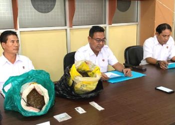 Ditresnarkoba Polda Papua Barat Berhasil Bekuk Seorang Remaja dan 6,2 Kg Ganja