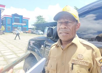 Tangani Stunting, Pemda Pegaf akan Bentuk Tim