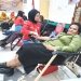 Sementara Terkumpul 12 Kantong dari Donor Darah di Kantor PT Papua Barat