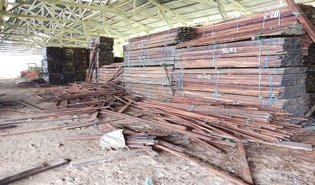 Di Kampung Koy, Ratusan Kubik Kayu Merbau yang akan Dilelang Raib Dicuri
