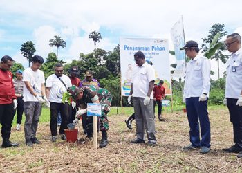 Peringati Hari Air Dunia, BWS Tanam 230 Pohon di Mapolda Papua Barat