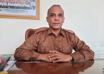 12 Dokter RSUD Manokwari belum Terima Gaji, Begini Jawaban dr. Alwan
