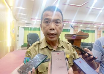 Tidak Mendapatkan Paket PL, 28 Kontraktor Asli Papua Datangi Kantor Bupati Manokwari