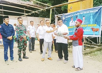 Pemda Serahkan 54 Ekor Sapi Kurban untuk Umat Muslim di Bintuni