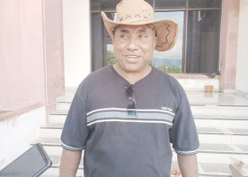 44,94 Persen Dana Otsus 2023 Sudah Tersalurkan di Papua Barat