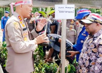 Polres Teluk Bintuni Tanam Tiga Jenis Mangrove Dalam Aksi Nasional Lestarikan Lingkungan