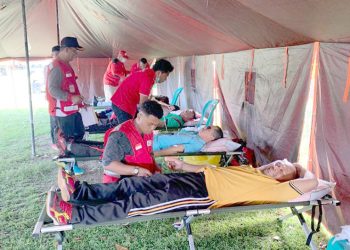 PMI Manokwari Gelar Aksi Donor Darah di Borarsi