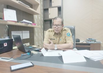 Nilai Investasi Papua Barat Semester I tahun 2023 Capai Rp970,112 Miliar