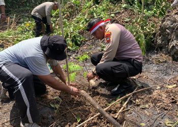 Jaga Bumi, Polresta Manokwari Tanam 200 Bibit Pohon Produktif di Kampung Asai
